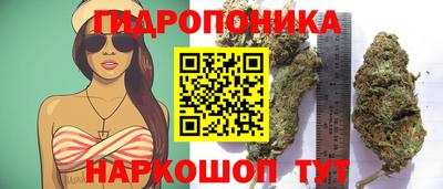 стафф Комсомольск-на-Амуре