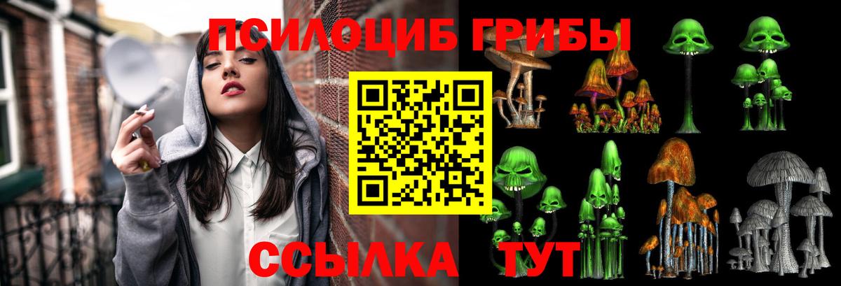 Псилоцибиновые грибы мухоморы Арзамас